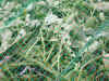 10epsn0004_1.jpg (195731 バイト)
