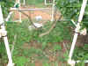 10epsn0022_1.jpg (182761 バイト)