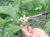 7Epsn0048_1.jpg (96266 バイト)