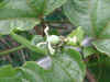 7epsn0053_1.jpg (92547 バイト)
