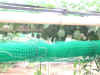8epsn0055_1.jpg (120343 バイト)