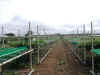 9epsn0015_1.jpg (93428 バイト)