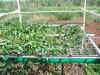 9epsn0078_1.jpg (212537 バイト)
