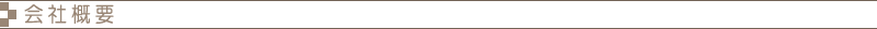 ЊTv