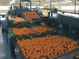 ＮＥＣ社パソリンク写真１
