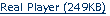RealPlayer File Download