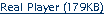 RealPlayer File Download
