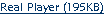 RealPlayer File Download