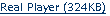 RealPlayer File Download