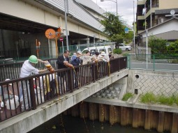 EM活性液を川に