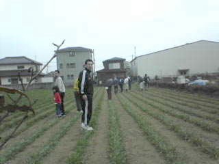 生まれて初めて麦を踏みました。