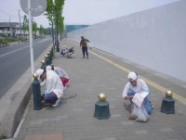 若葉西口キレイにし隊の皆さん