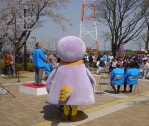 コバトンのうしろ姿イン開会式