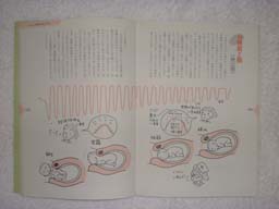 jintsu.jpg (10523 �o�C�g)