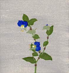 大西靖子・木版画